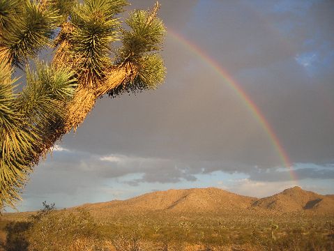 Saddleback Butte State Park