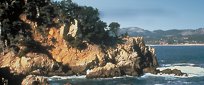 Point Lobos SR