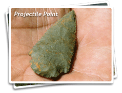 Projectile Point Photo