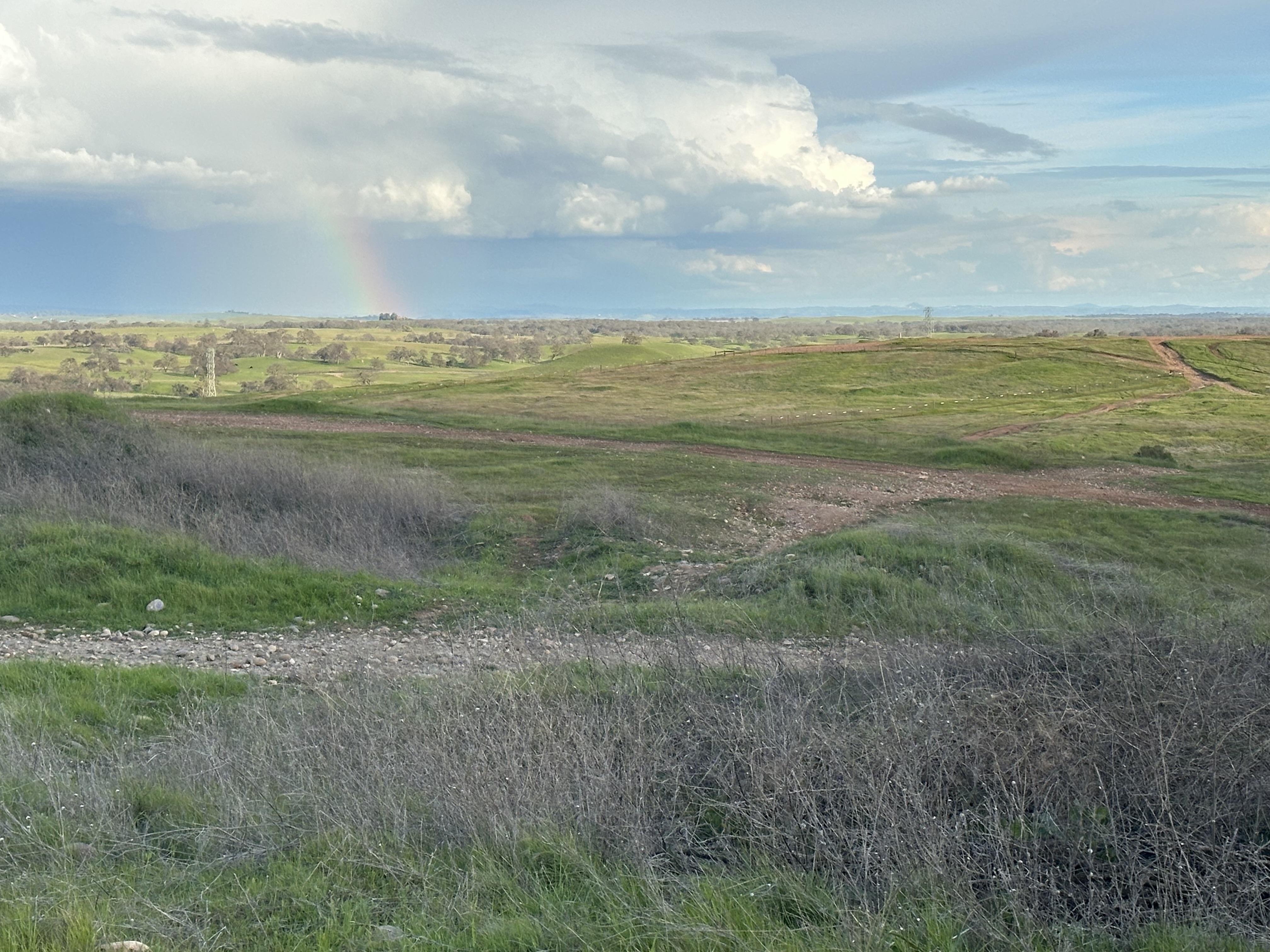 Field of trials with rainbow