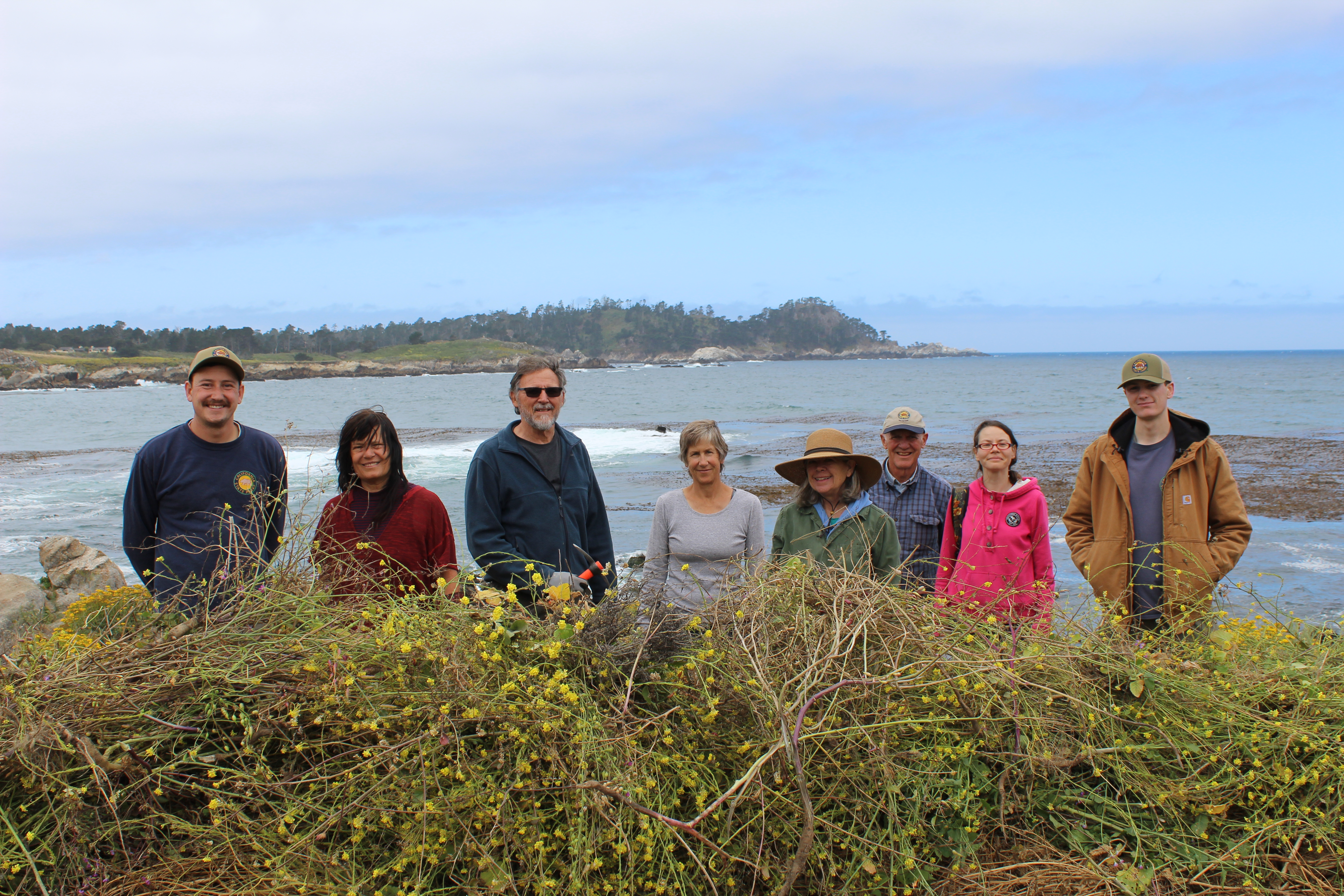 Volunteers pose with a pile of invasive mustard on the bluffs of Carmel River State Beach.