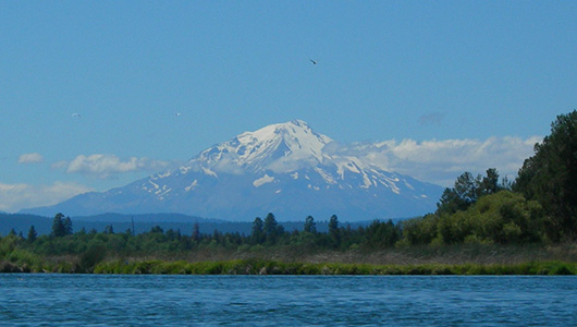Del Norte Redwoods SP