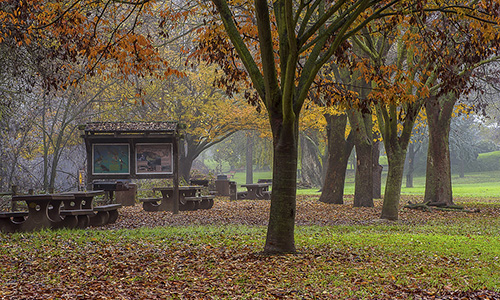 Colusa-Sacramento River SRA