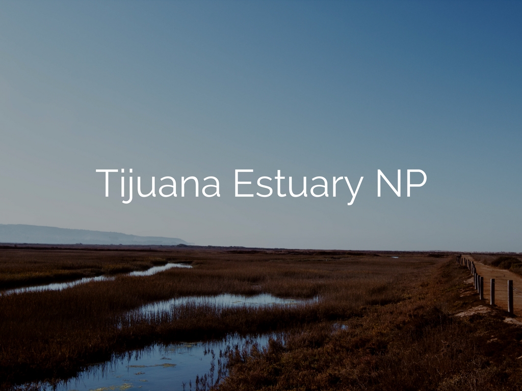 Tijuana Estuary