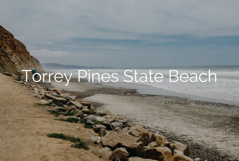 Torrey Pines SB