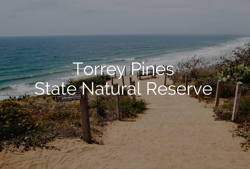 Torrey Pines SNR