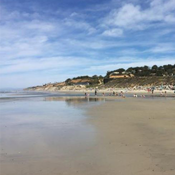 torrey pines state beach