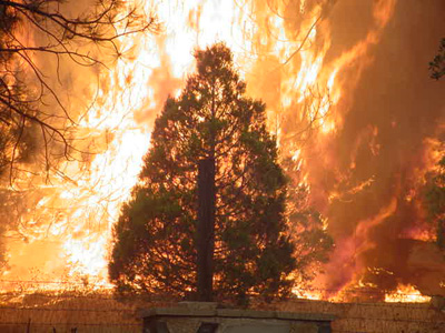 Cedar Fire burning at Cuyamaca Rancho
