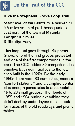 Hike the Stephens Grove Trail