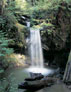 Photo: Waterfall