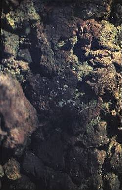 Image of spawning gravels