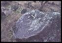 Image of large basalt boulder
