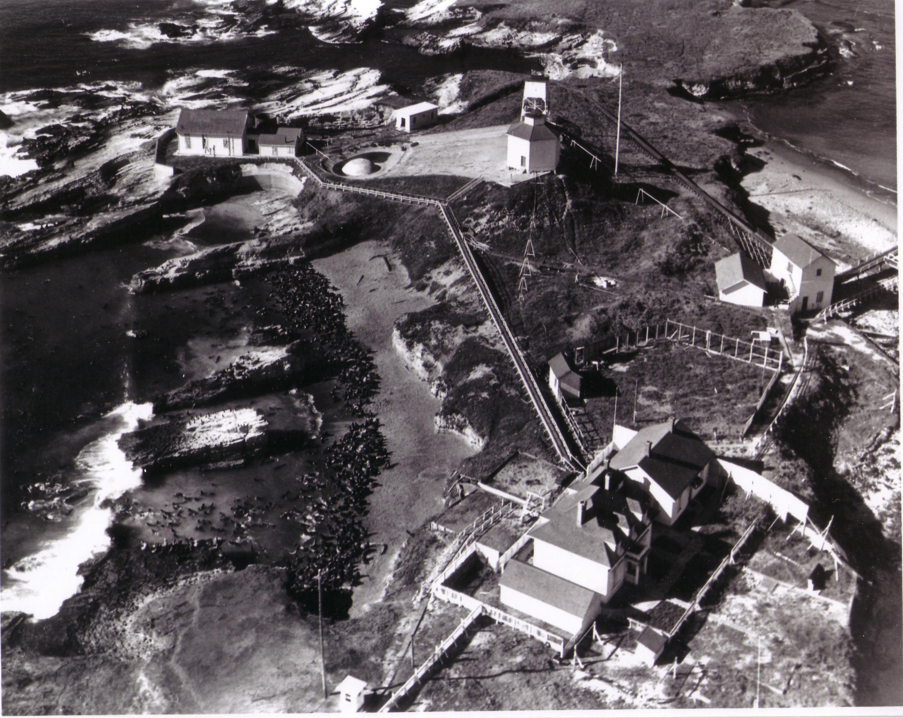 Aerial view of Año Nuevo Island Light Station, 1953