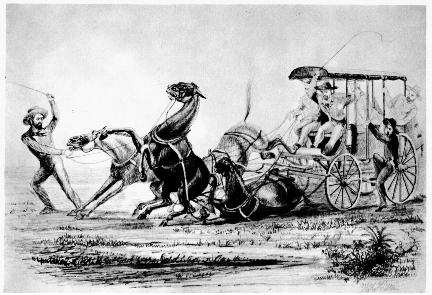 Butterfield Overland Mail Celerity Wagon 1858 Drawing, courtesy of Gerald Ahnert