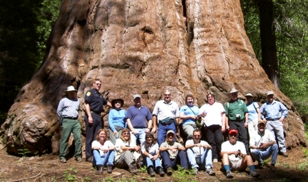 Cal-Fire Archaeological Training Group in front of the "Methuselah Tree" in Mountain Home Demonstration State Forest, June 2005
