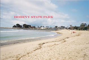 Famous for the local surfing conditions it is rare to see the waters of Doheny State Beach without surfers.