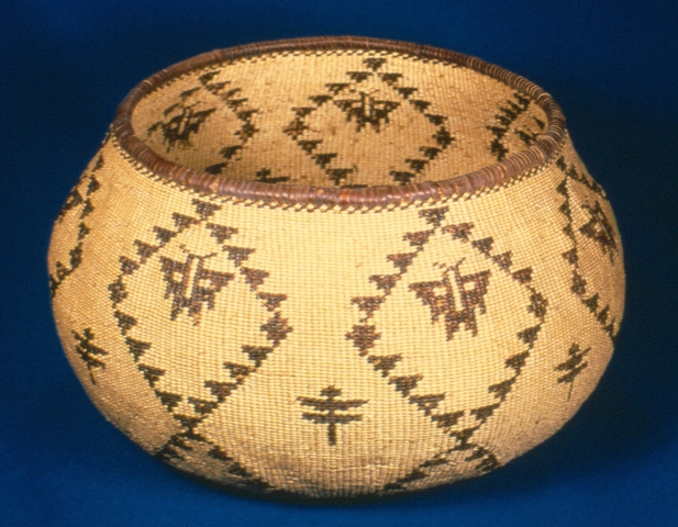 Insect Pattern Basket