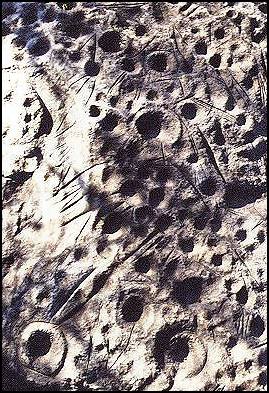Image of cupules and incised lines