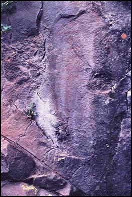 Close up of pictograph at CA-LAK-30, showing 13 parallel bars. (Photo: unknown)