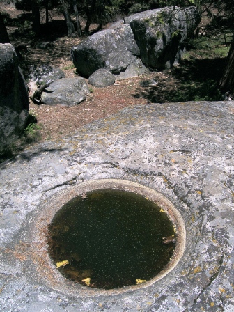 Clear archaeological evidence of use by Native cultures can be seen at the various rock basin depressions.