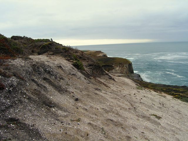 Sand Hill Bluff became part of the California State Park system in May 2005.