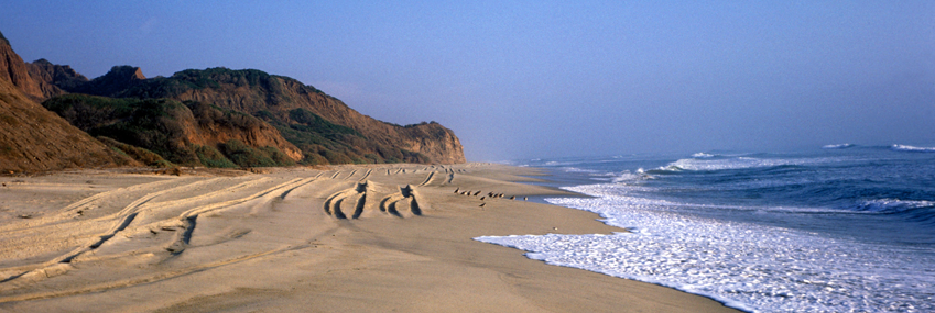 San Onofre Beach Image