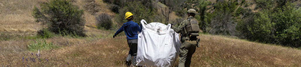 California State Parks staff clean up trash at an illegal cannabis grow site