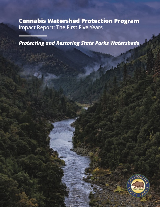 Front cover of the CWPP 5-Year Impact Report
