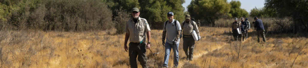 California State Parks staff hiking to an illegal cannabis grow site