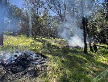Prescribed Burn