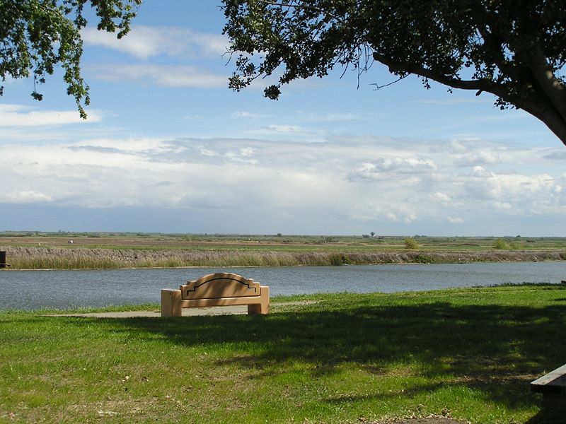 A bench on the water at Brannan Island