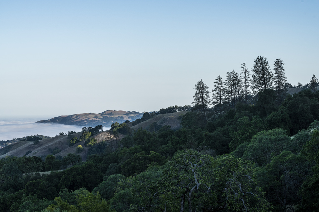 A morning view at Henry Coe State Park