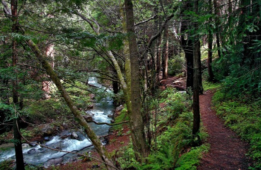 Limekiln State Park, photograph copyrighted by Stephen Woodward, 2009