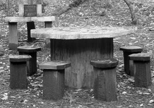 CCC built picnic table at Big Basin in 1935