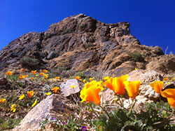 Photo of the Eastern Kern County property