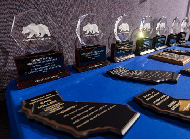 Trophies at Award Ceremony