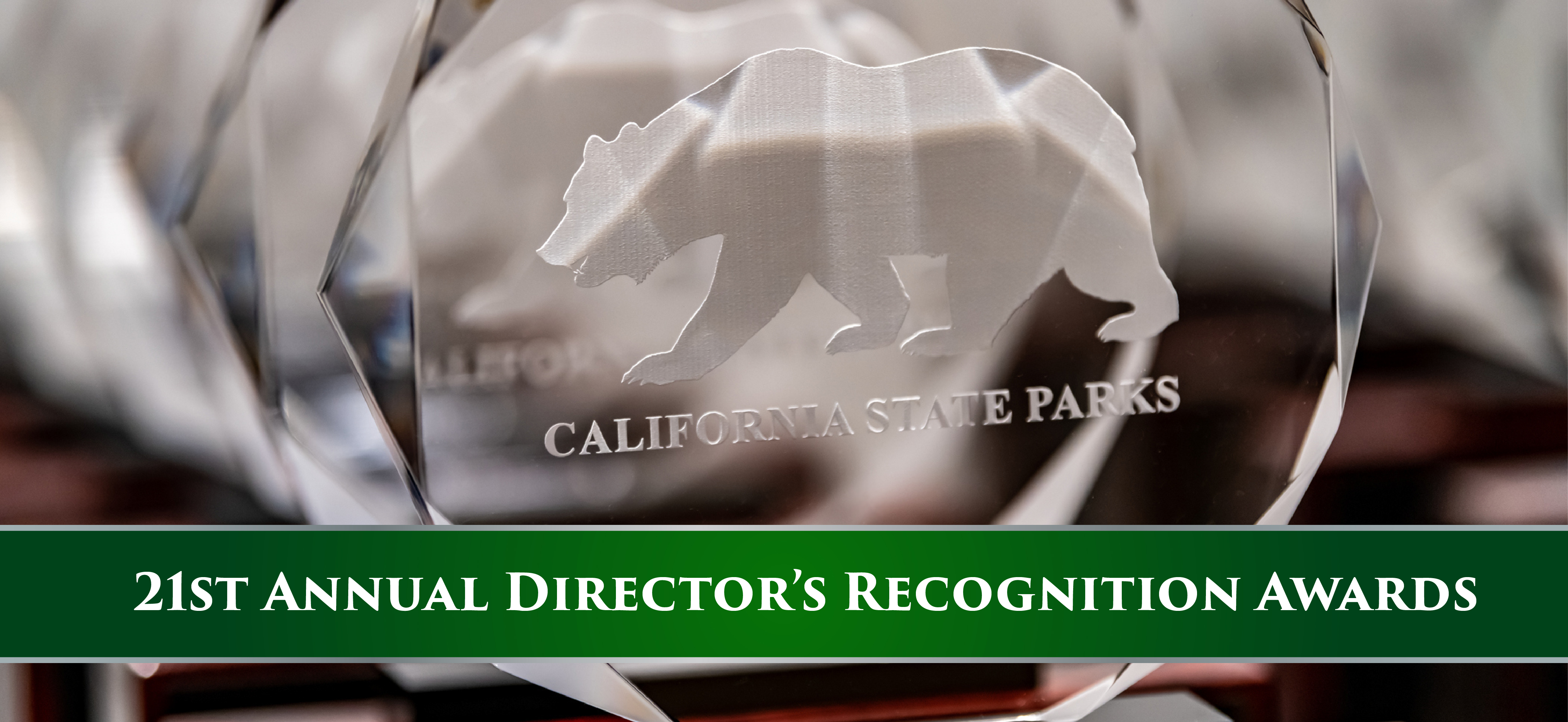 Directors Award