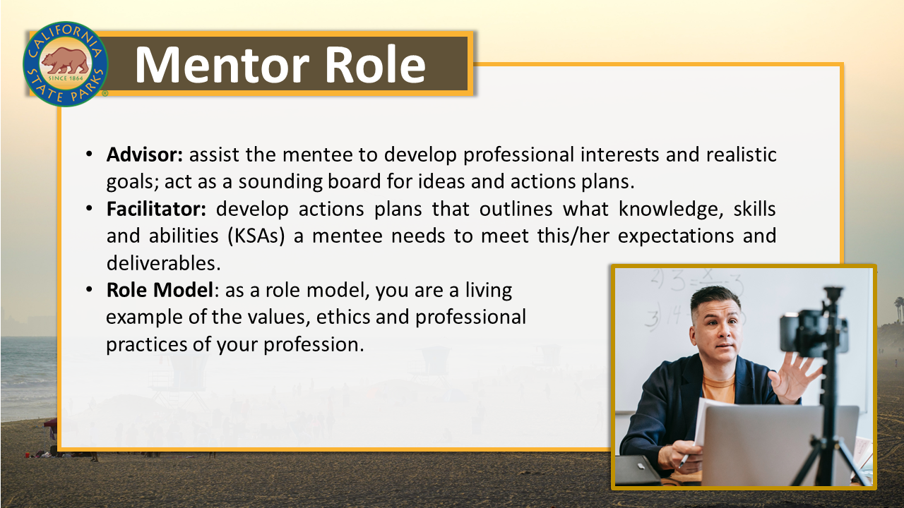 Mentor Role cont.