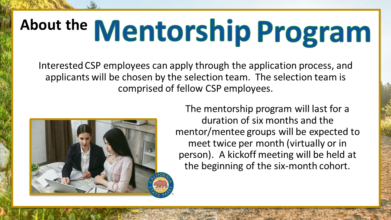 About the Mentorship Program cont.