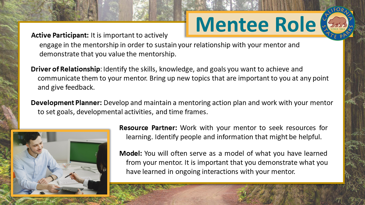 Mentee Role