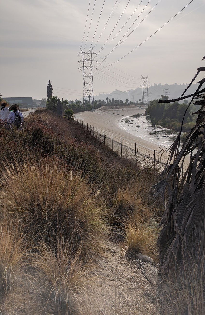 View of Los Angeles River looking south; powerlines overhead, concrete river embankments, and vegetation in the riverbed