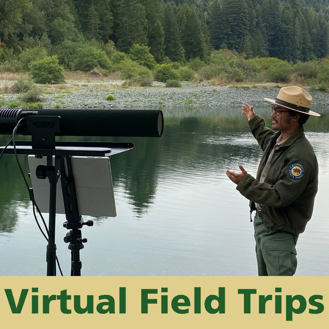Virtual Field Trips