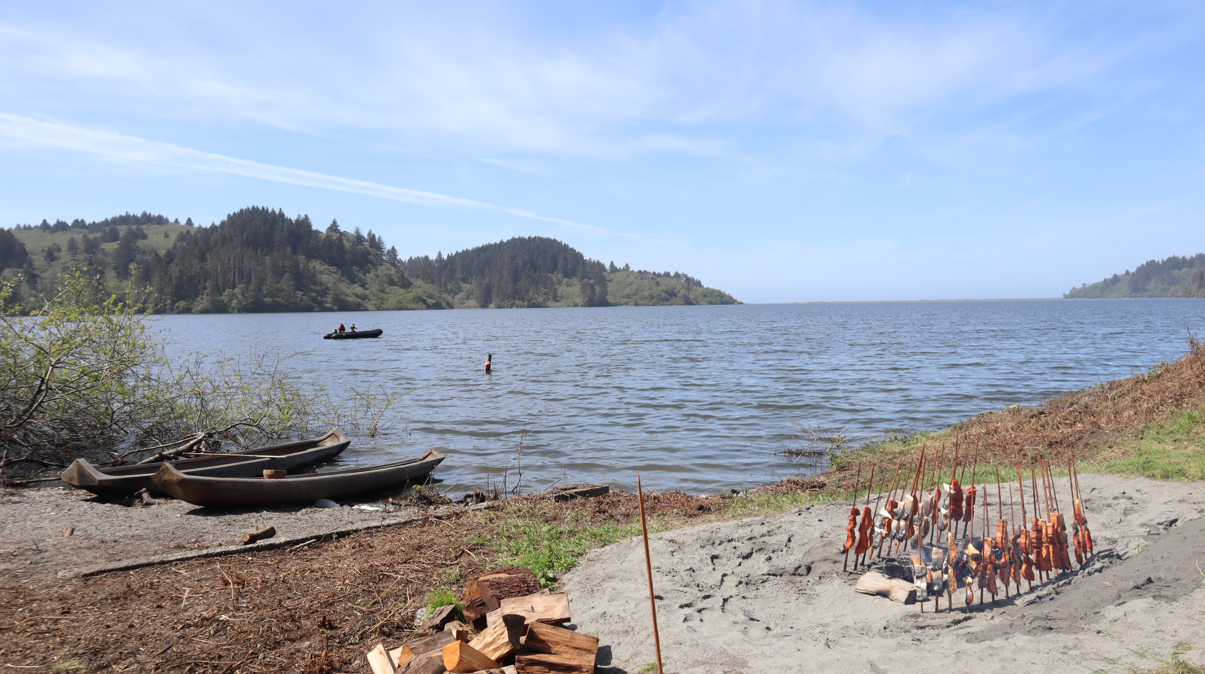 Redwood dugout canoes site beside traditionally-prepared salmon at Stone Lagoon