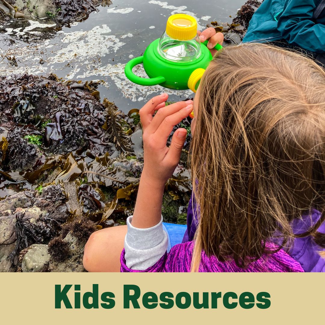 Kids Resources