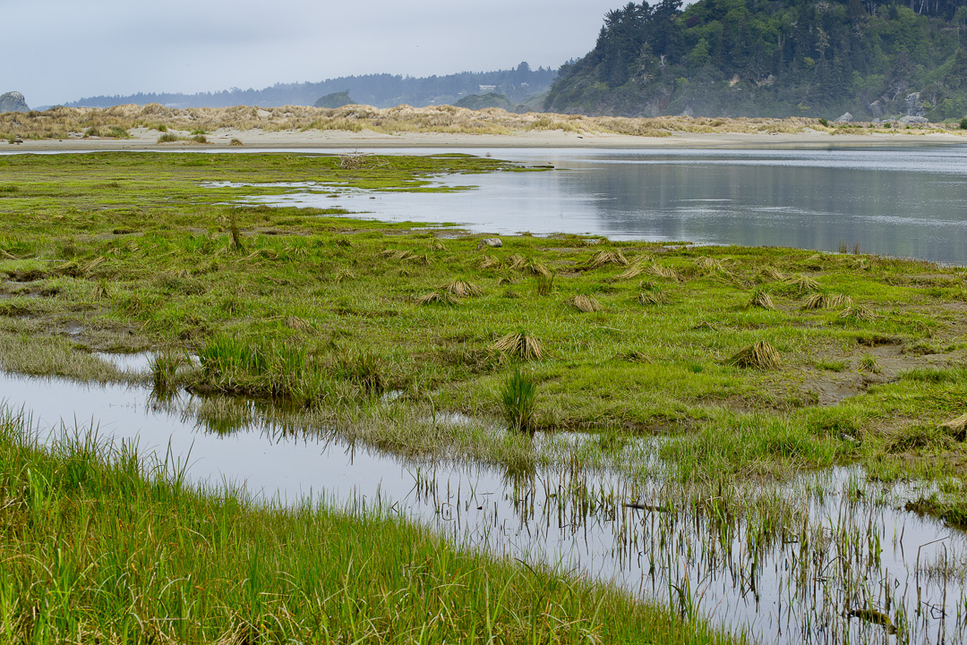 Wetlands area Wetlands area