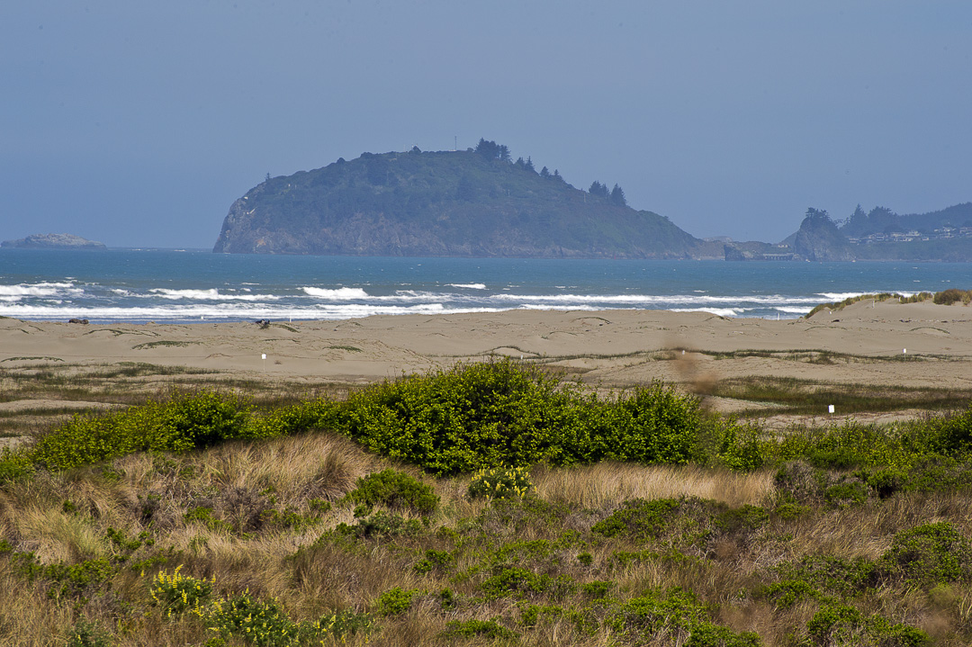 Beach image Beach image