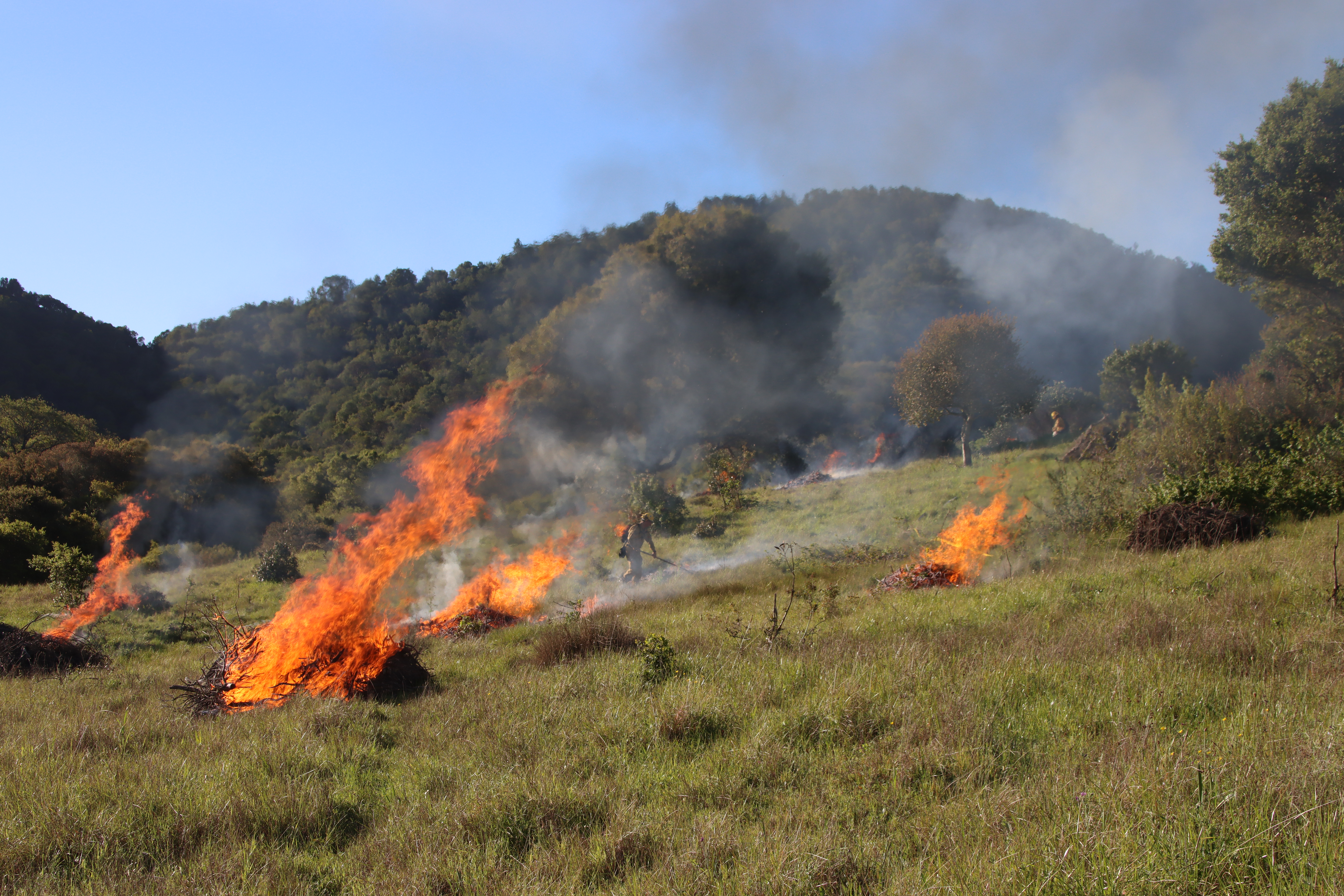Piles Burning in Grassland along North San Pedro Road