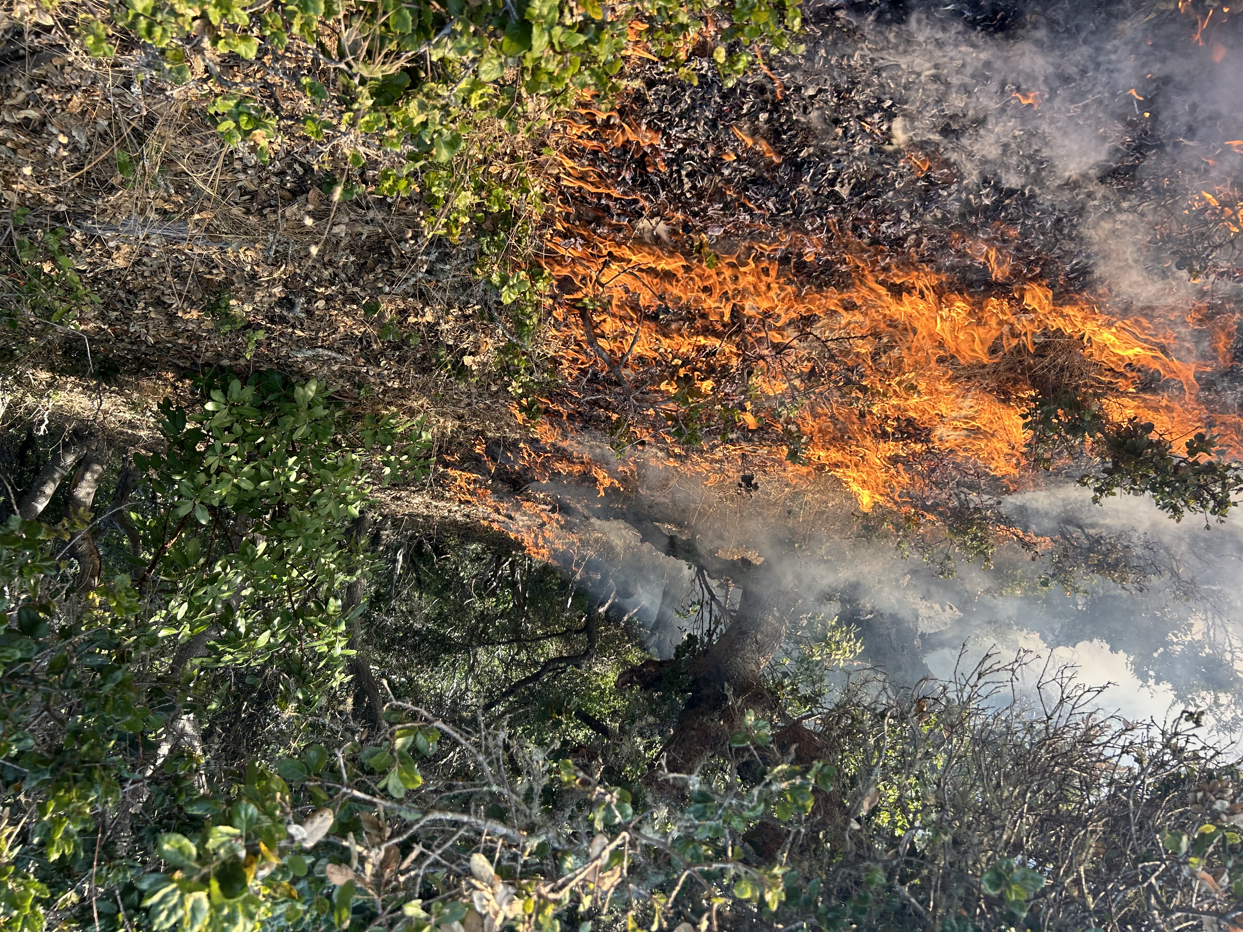 2023 Prescribed Broadcast Burn