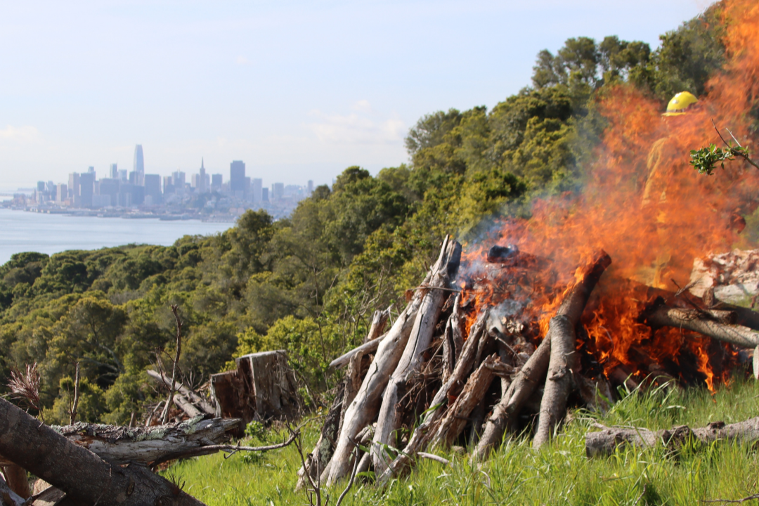 Pile Burning along hillside with San Francisco in Background