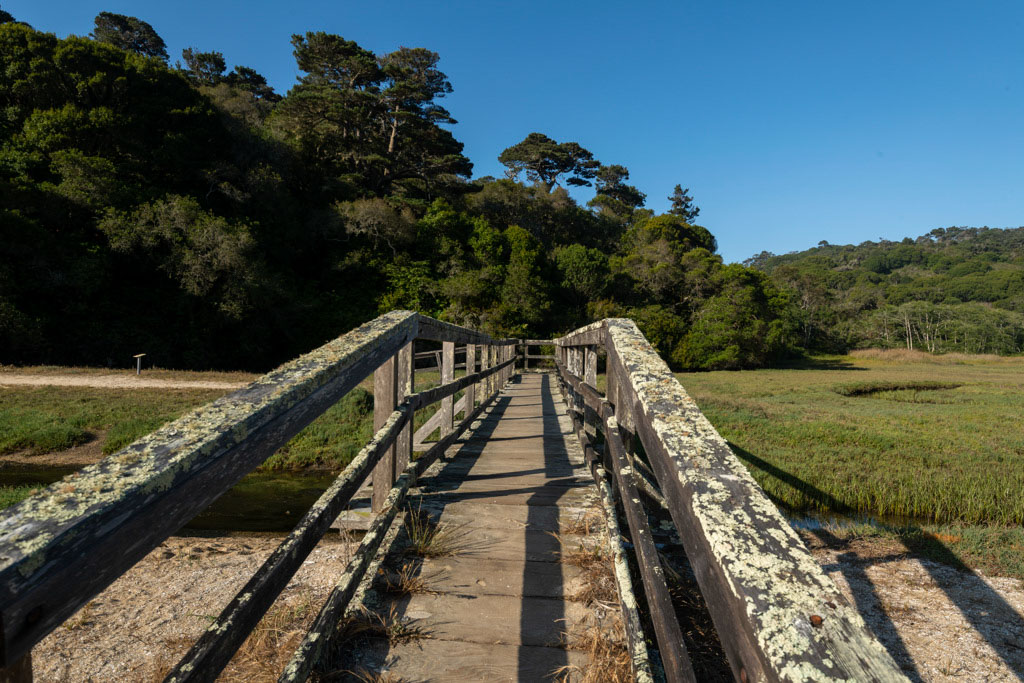 Bridge Crossing at Indian Beach